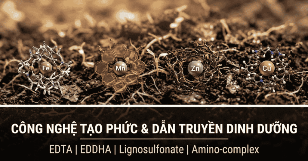 Nhóm Công nghệ tạo phức và dẫn truyền dinh dưỡng
