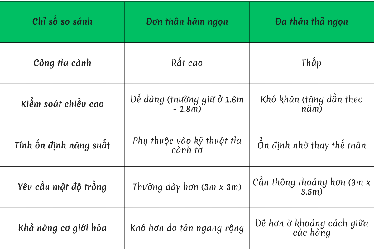 So sánh cà phê thả ngọn và hãm ngọn