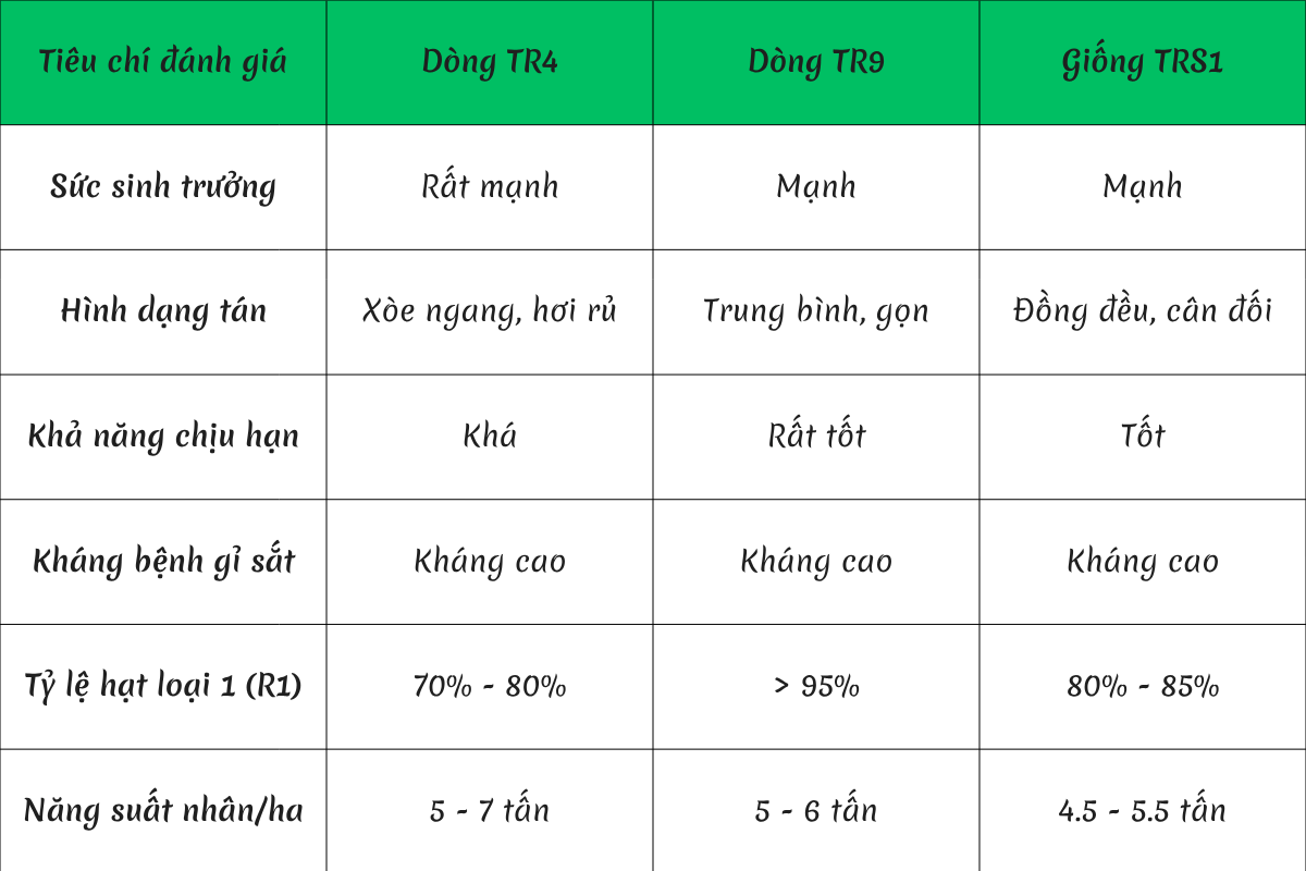 đặc tính sinh trưởng của các dòng Robusta vô tính TR4, TR9 và TRS1