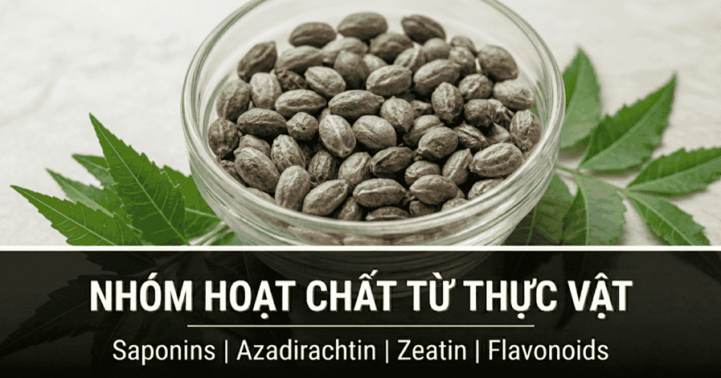 Nhóm Hoạt chất từ Thực vật