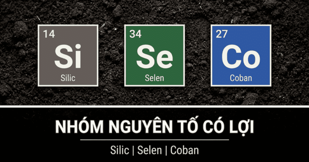 Nhóm Nguyên tố có lợi