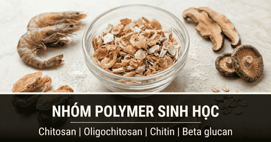 Nhóm Polymer sinh học